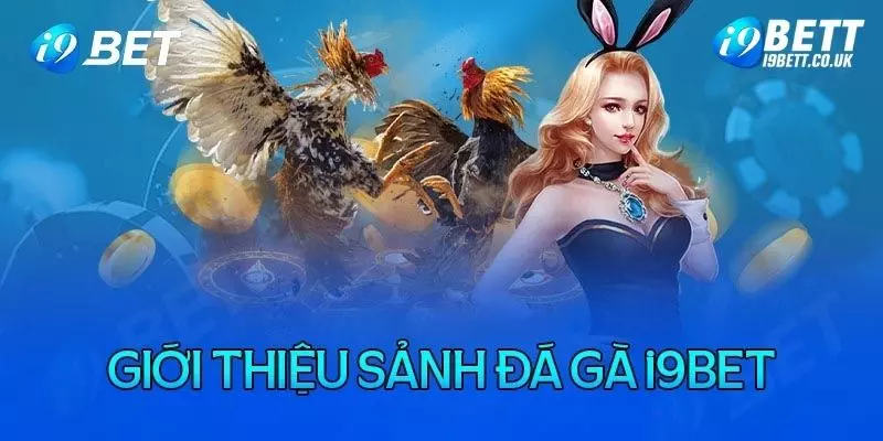 Đá gà i9bet mang lại những trận đấu hấp dẫn